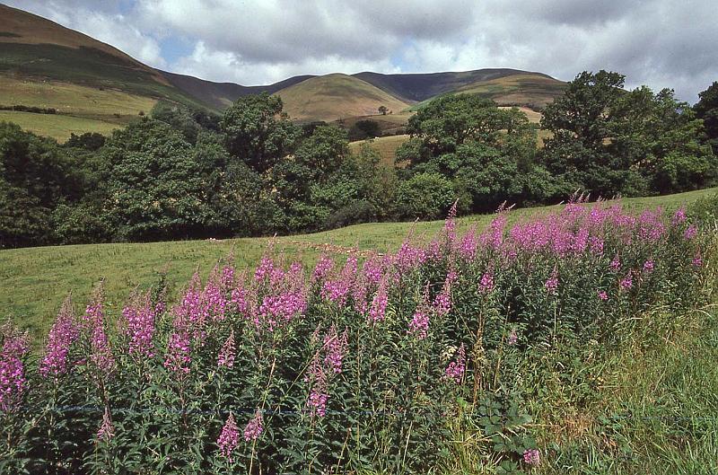 WT 3100 348-20 UK-3.jpg